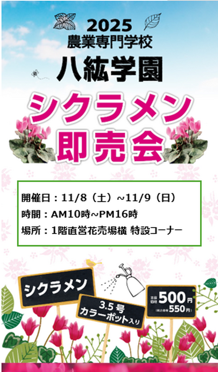 八紘学園「シクラメン」即売会開催のお知らせ(^^)/